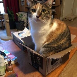 Meet your Posher, Dee